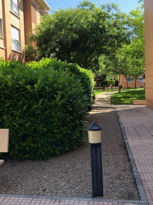 Vut El Parque Piso 3Dormitorios 2Banos Parking Gratis En El Centro Ciudad Real Exterior foto